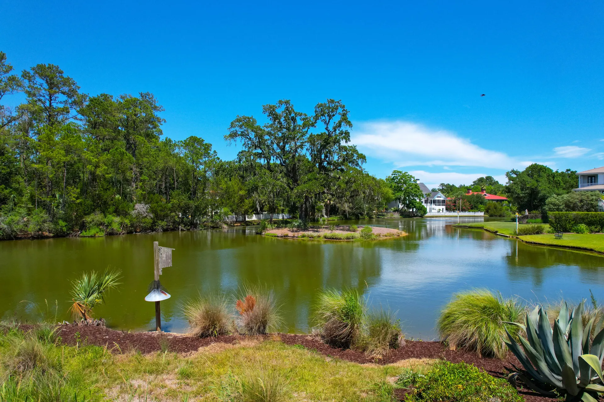Property image 2 at 391 Evian Way, Mount Pleasant, SC 29464