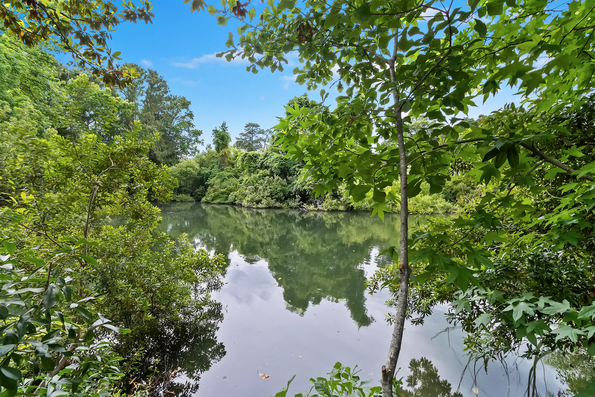 1245 Lakefront Drive Drive
