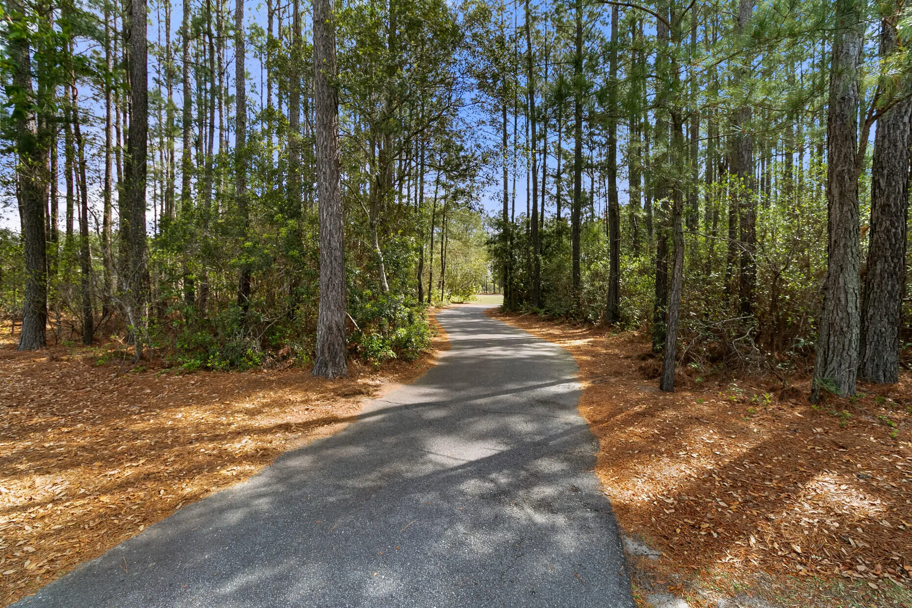 Property image 2 at 321 Sanctuary Park Drive, Summerville, SC 29486