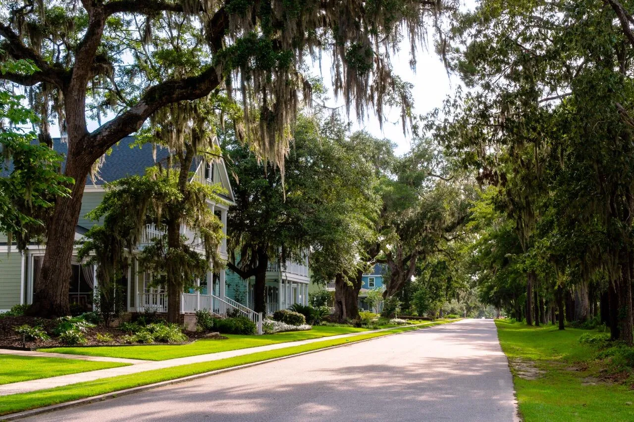 Property image 5 at 4070 Egret Perch Court, Ravenel, SC 29470
