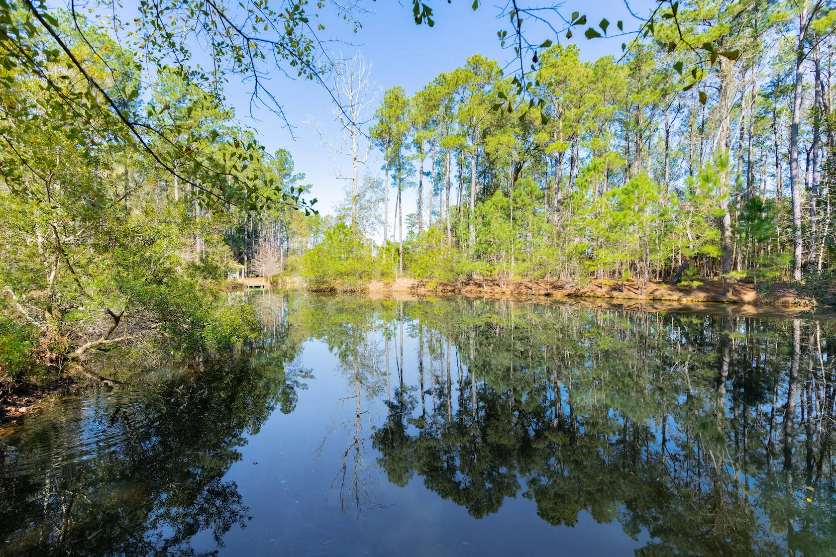 Property image 5 at 1515 John Fenwick Lane, Johns Island, SC 29455