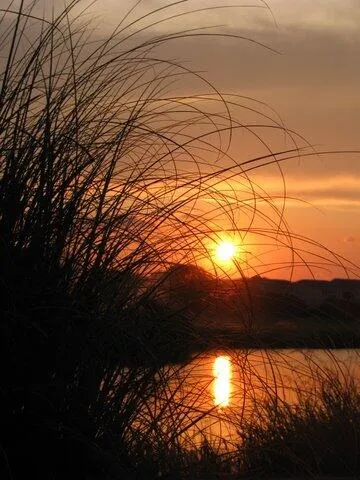 Property image 2 at 280 Driftwood Lane, Edisto Beach, SC 29438