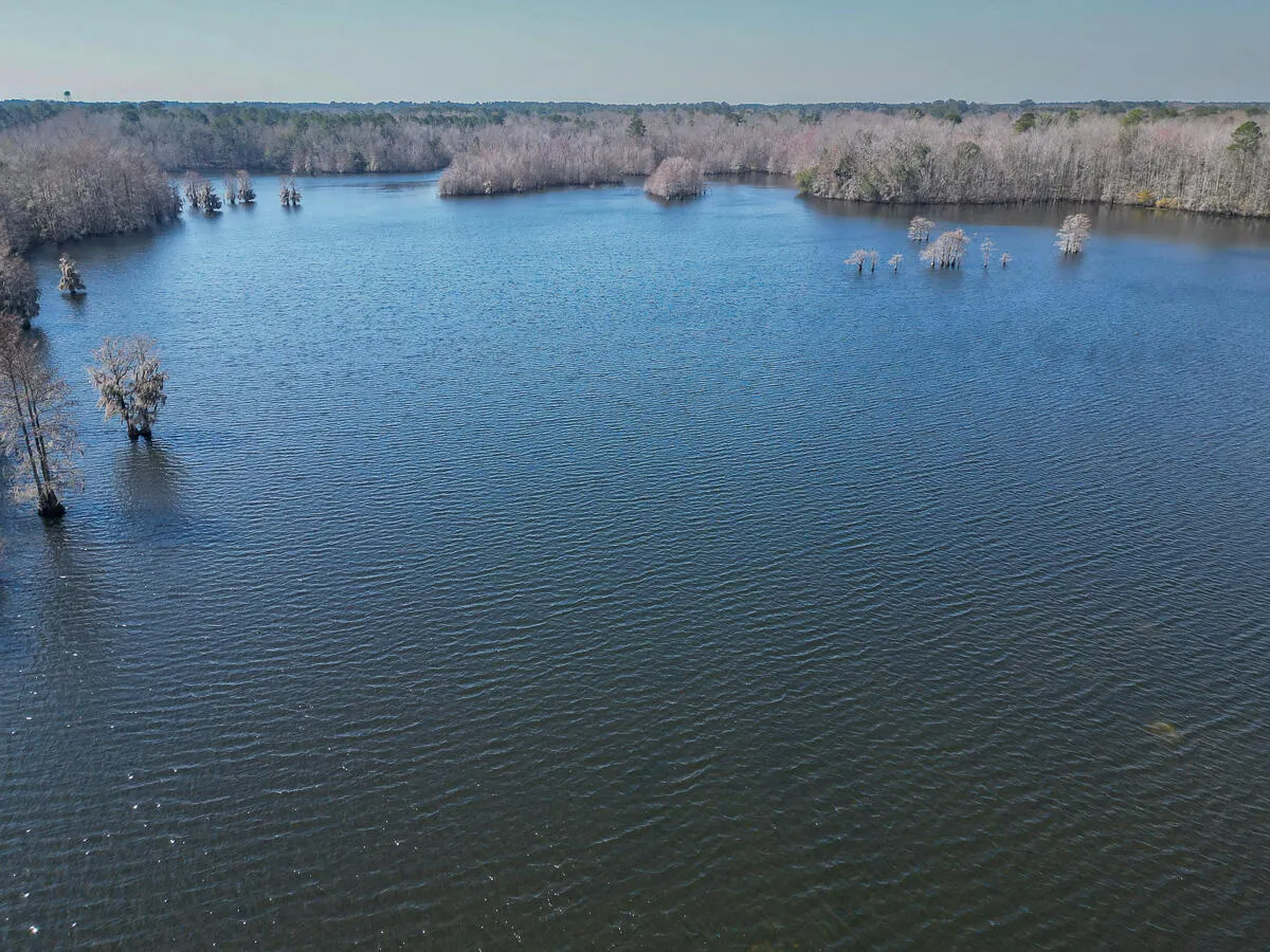 Property image 2 at 586 Belvedere Drive, Eutawville, SC 29048
