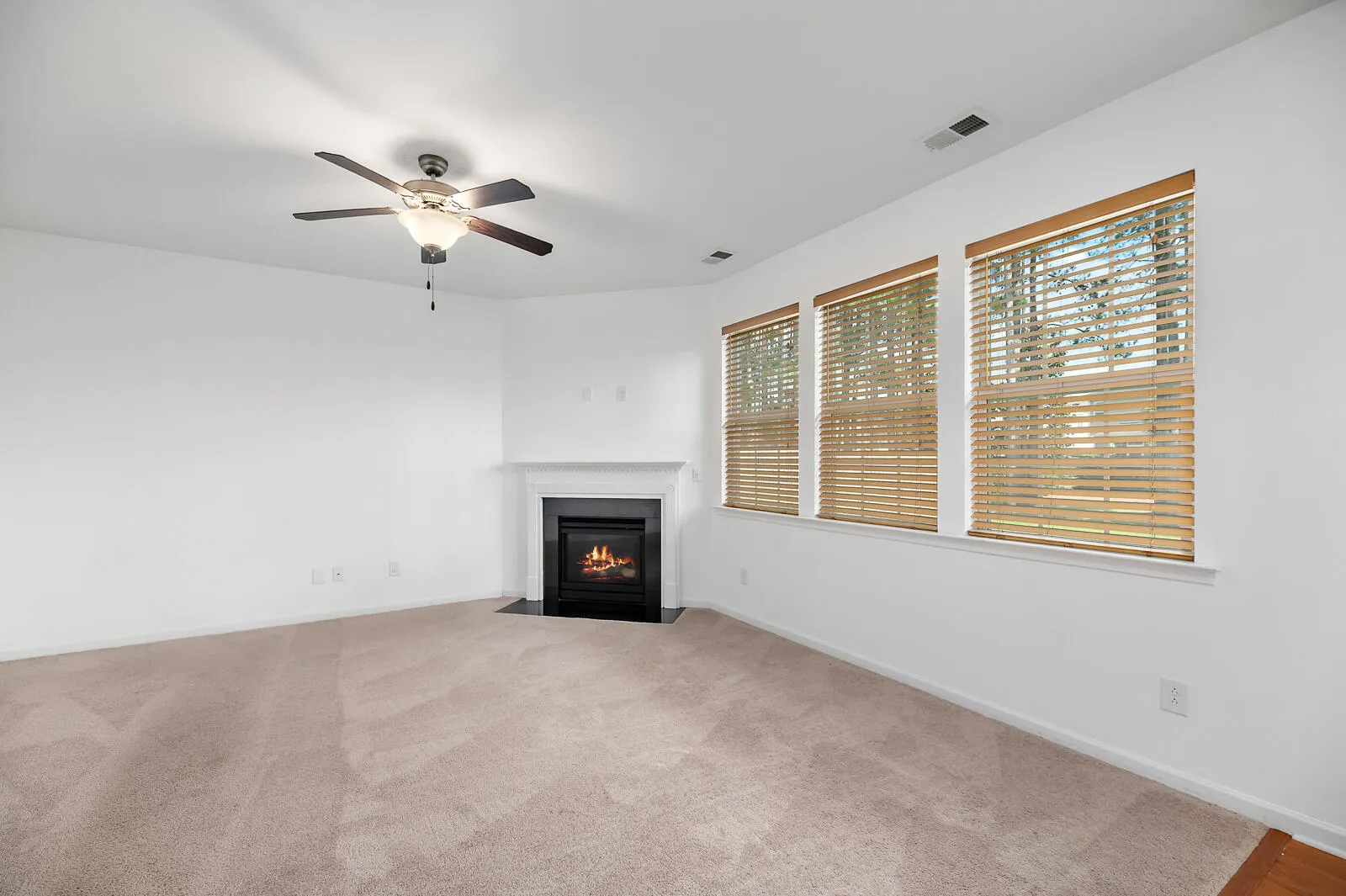Property image 4 at 272 Overcup Loop, Summerville, SC 29486