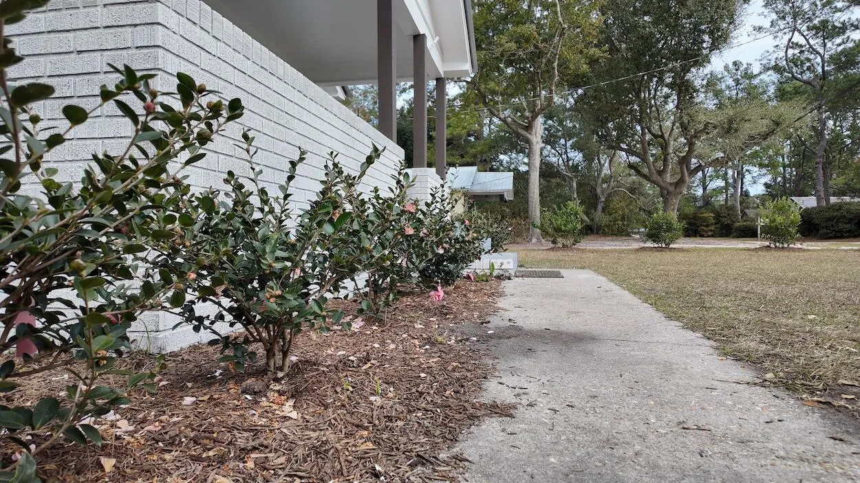 Property image 3 at 220 Thompson Street, Walterboro, SC 29488