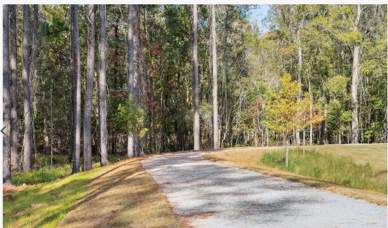 Property image 3 at 1019 Sagegrass Street, Summerville, SC 29485
