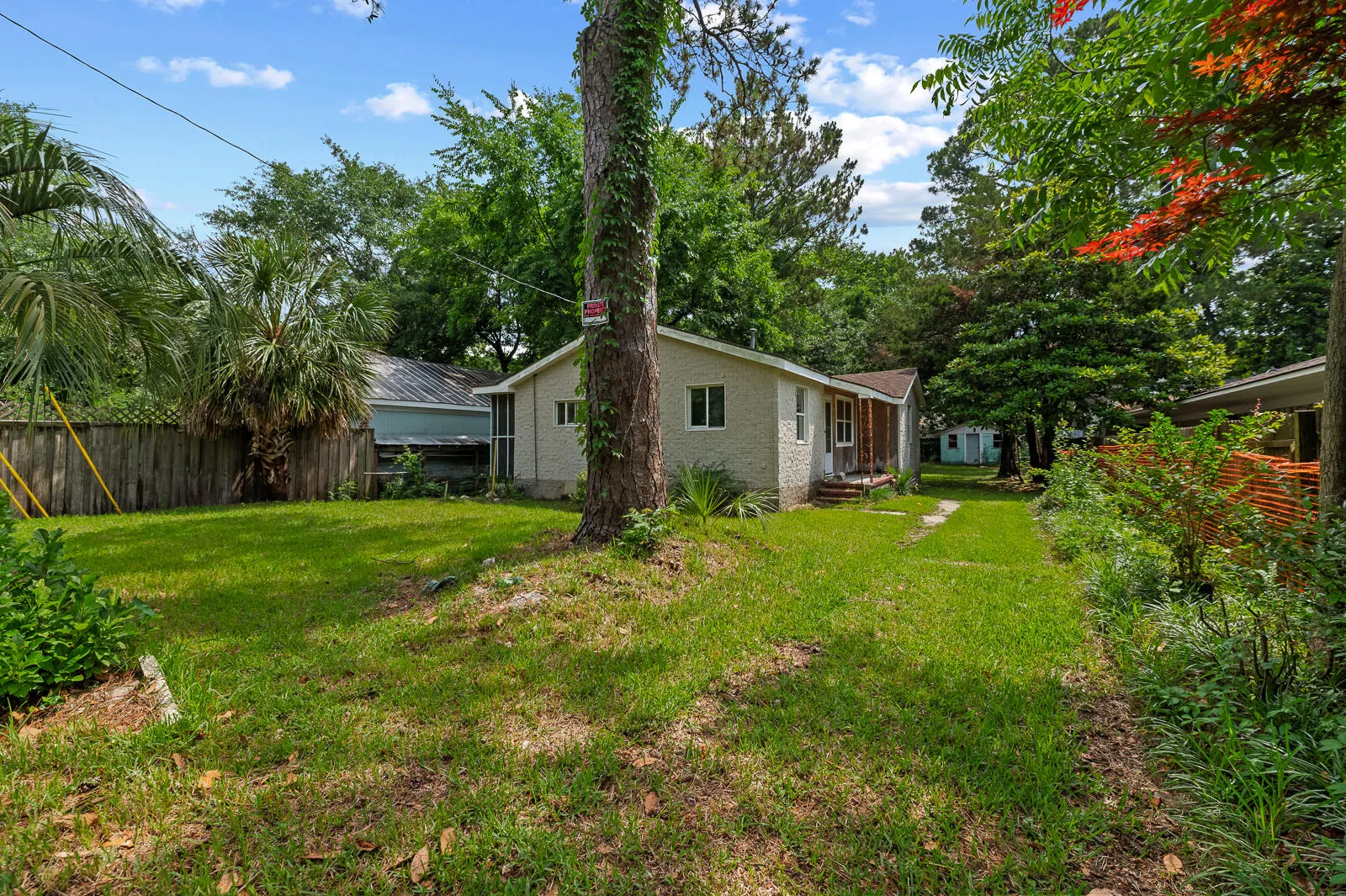 638 Cashew Street