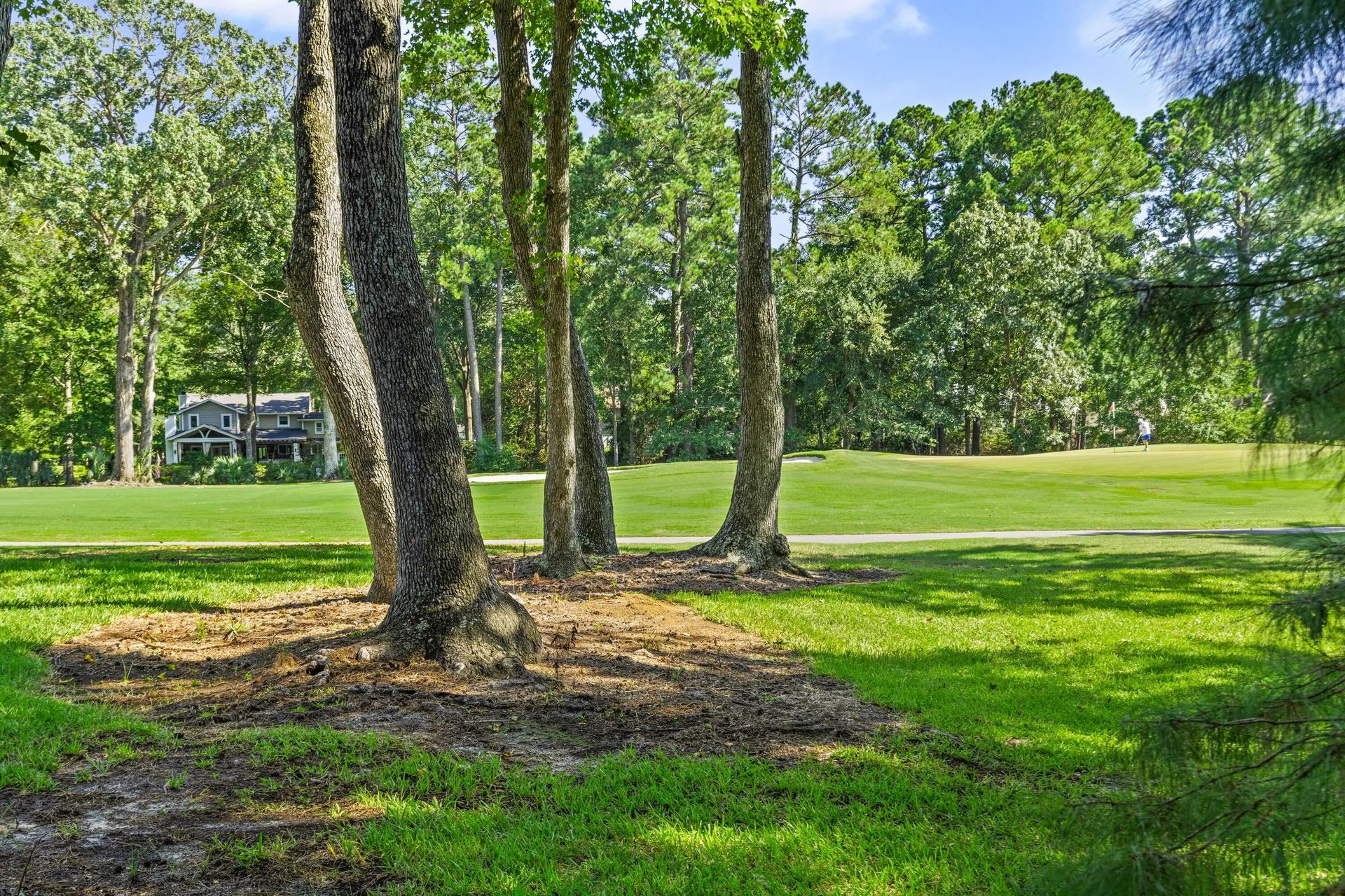 Property image 3 at 1134 Greenview Lane, Mount Pleasant, SC 29464