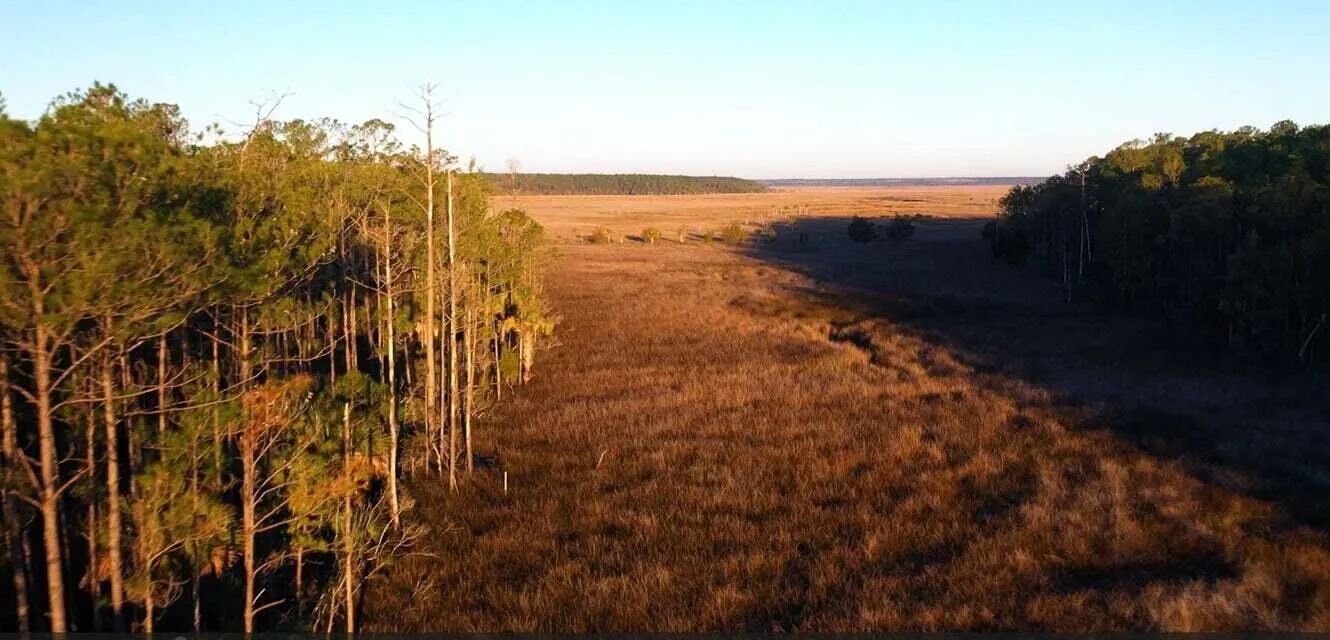 Property image 4 at 1461 Jeremy Cay Court Lot 110, Awendaw, SC 29429
