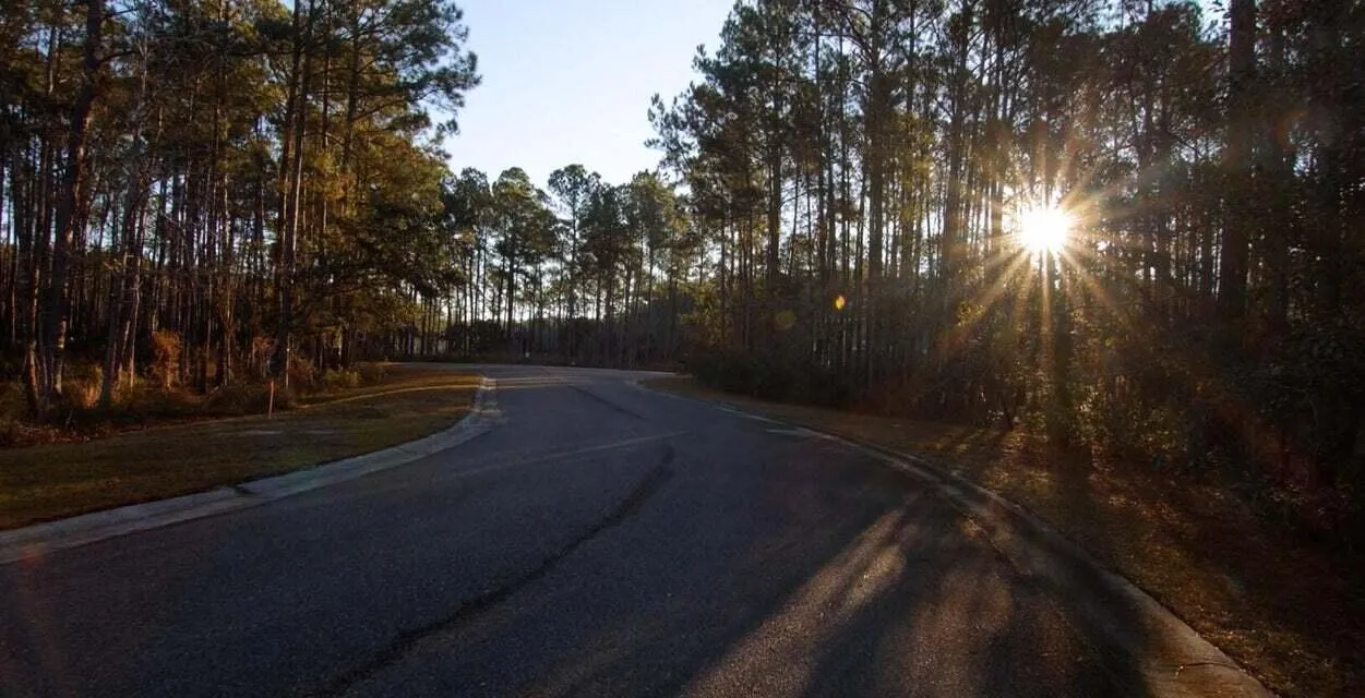 Property image 5 at 1461 Jeremy Cay Court Lot 110, Awendaw, SC 29429