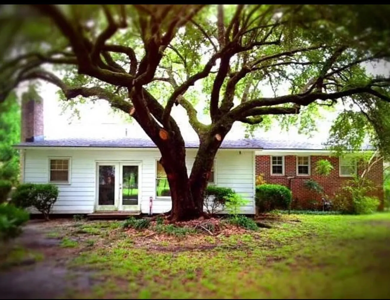Property image 2 at 2734 Mona Avenue, Charleston, SC 29414