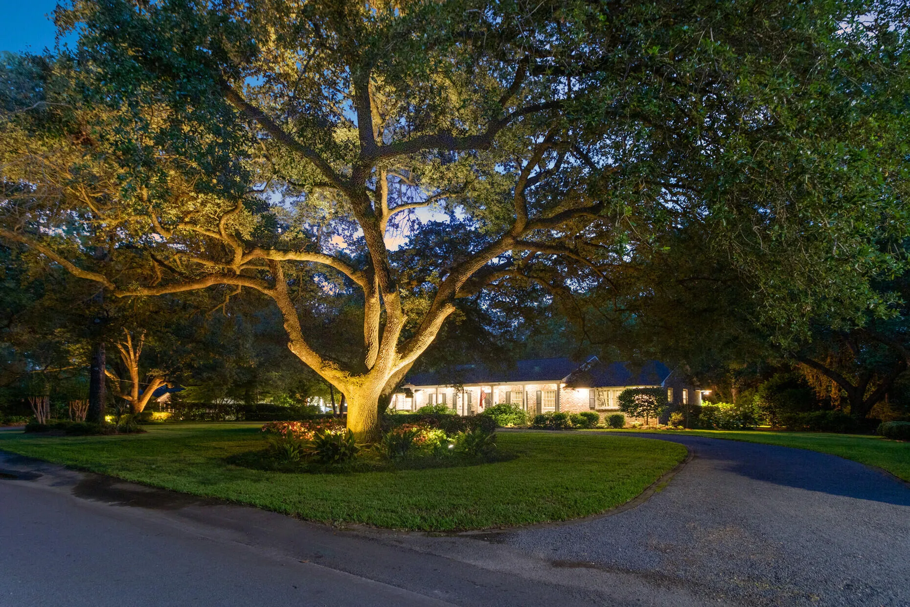 Tea Farm, Summerville Community
