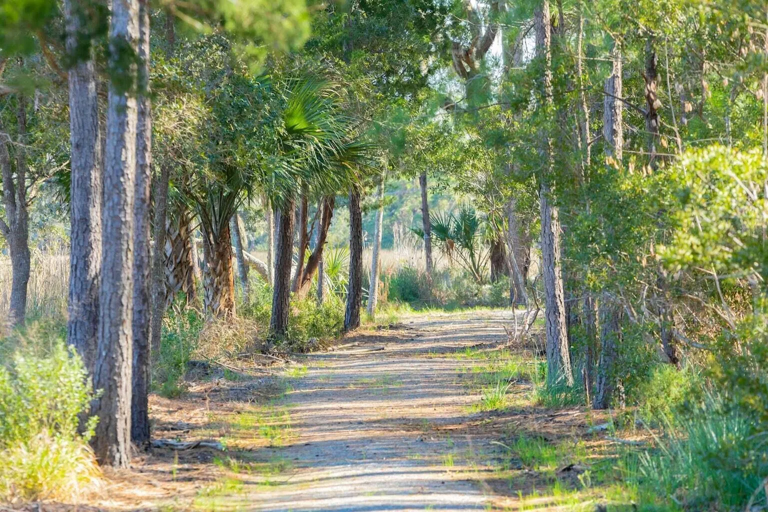 Property image 2 at 1713 Vireo Court, Johns Island, SC 29455