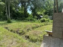 Property image 3 at 305 E 1st N Street, Summerville, SC 29483