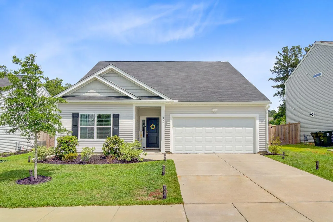 Petterson Meadows, Summerville Community