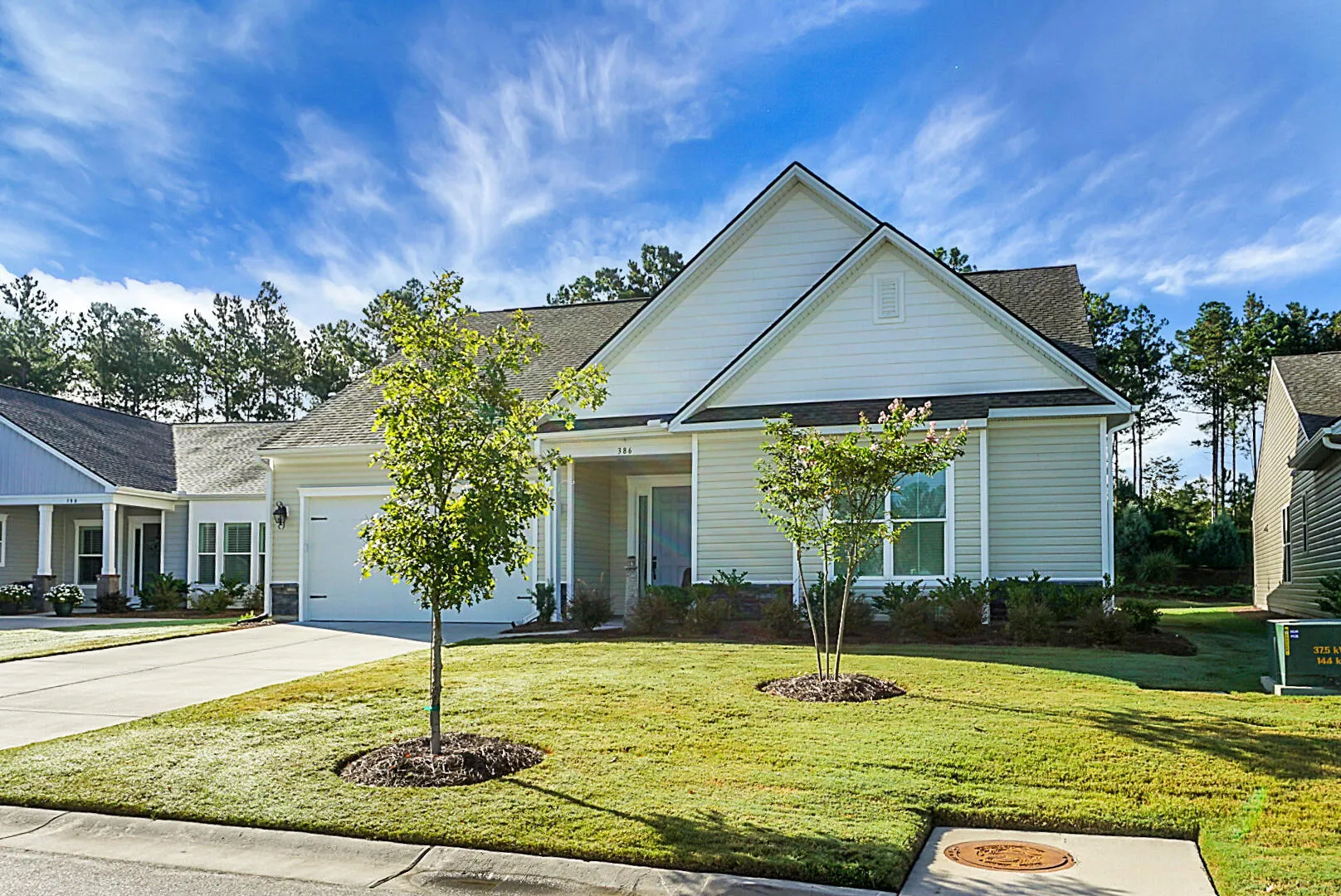 Property image 4 at 386 Tupelo Lake Drive, Summerville, SC 29486