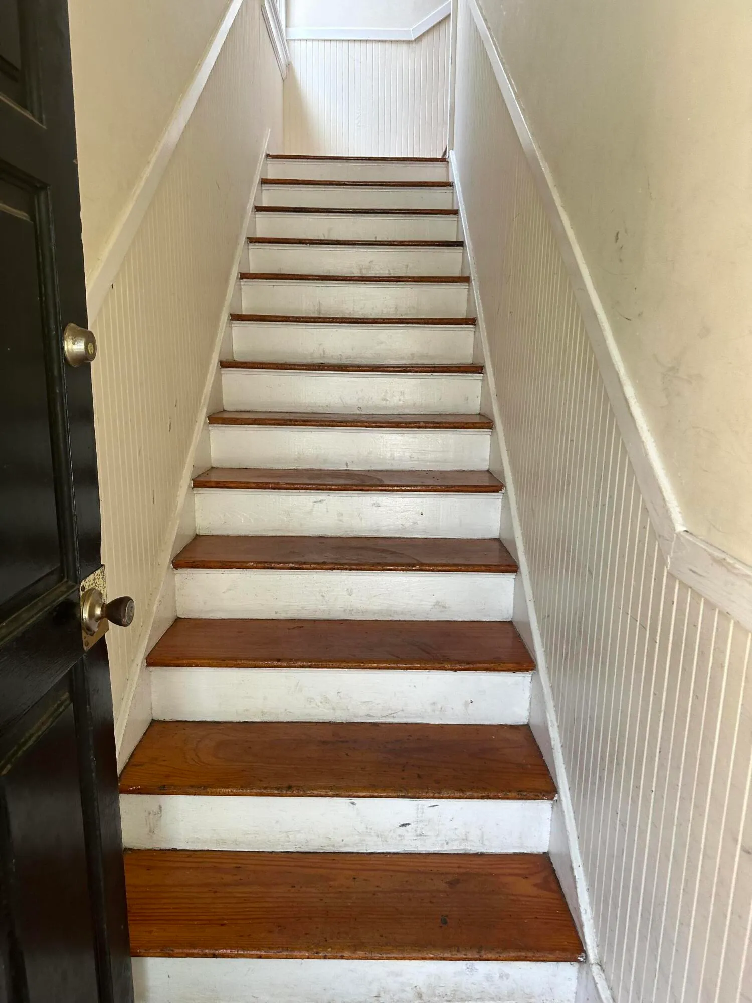 Property image 5 at 56 Laurens Street, Charleston, SC 29401