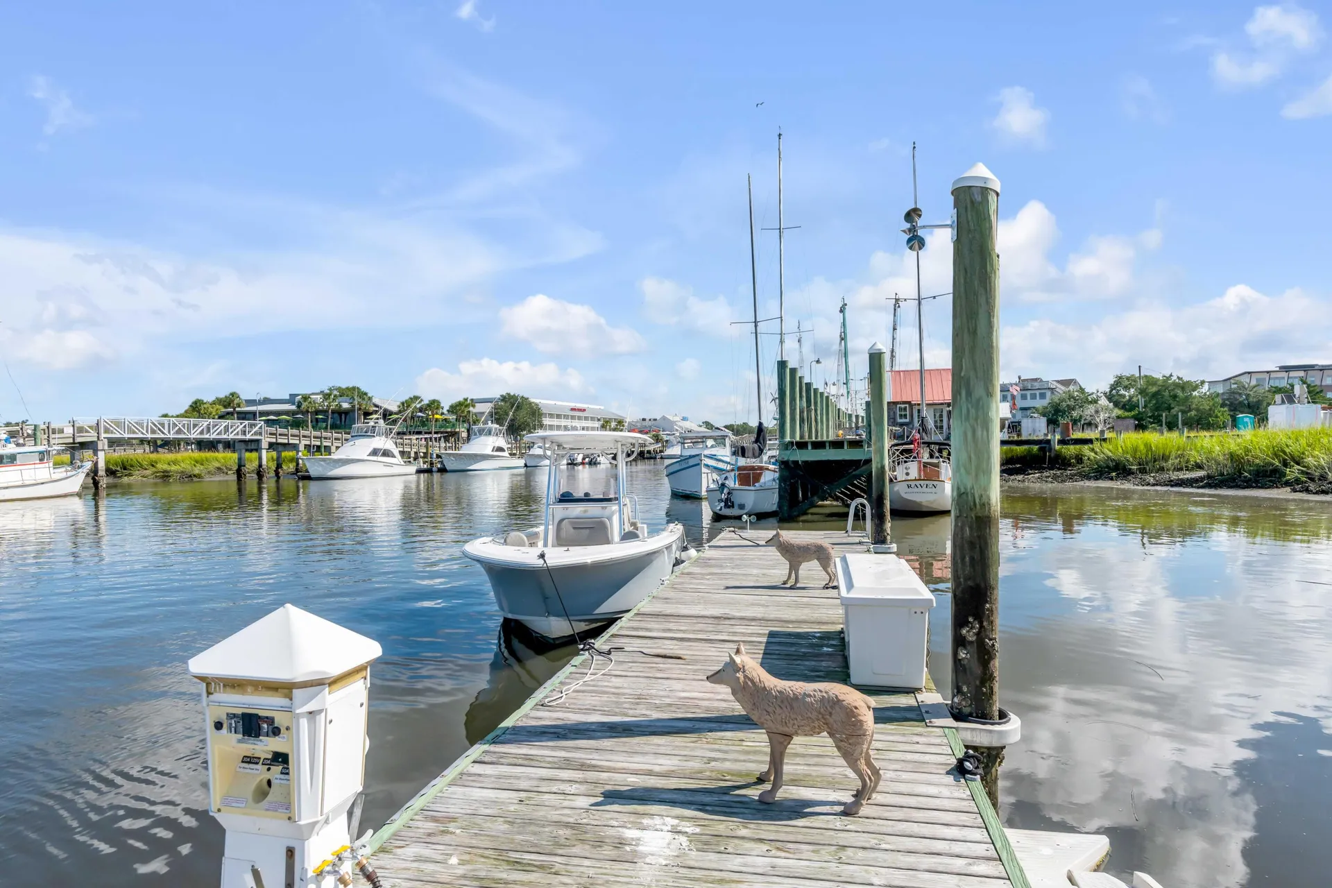 Property image 4 at 228 Haddrell Street, Mount Pleasant, SC 29464
