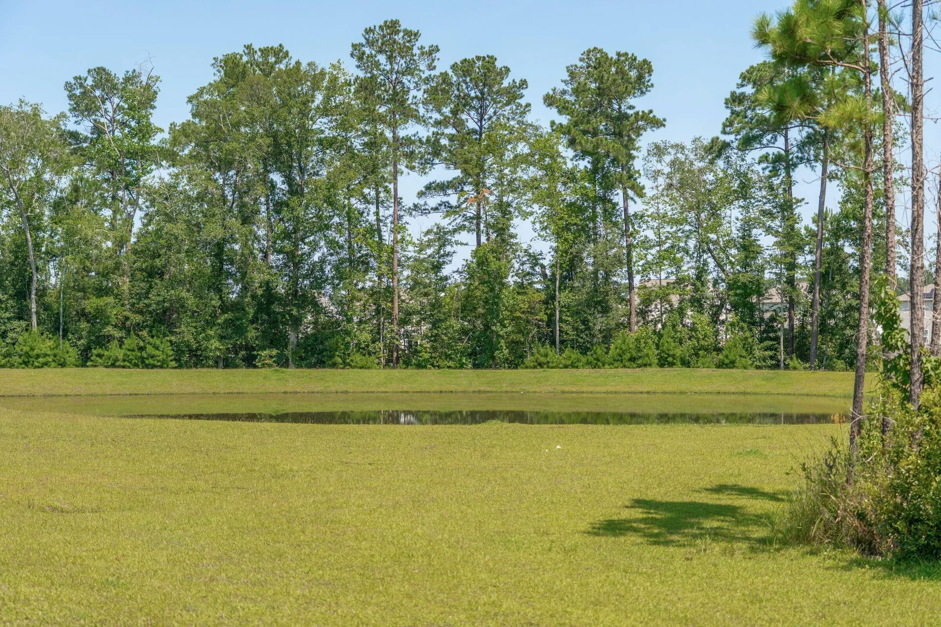 Property image 5 at 641 Silver Spruce Street, Summerville, SC 29486