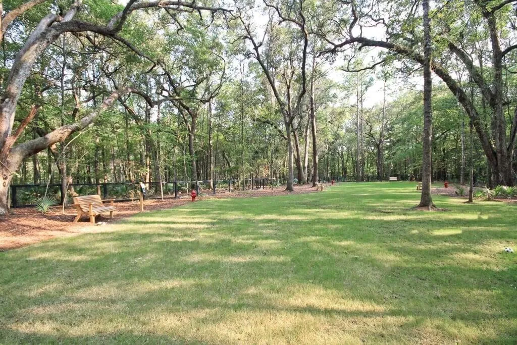 Property image 5 at 4135 Collins Drive, Charleston, SC 29414