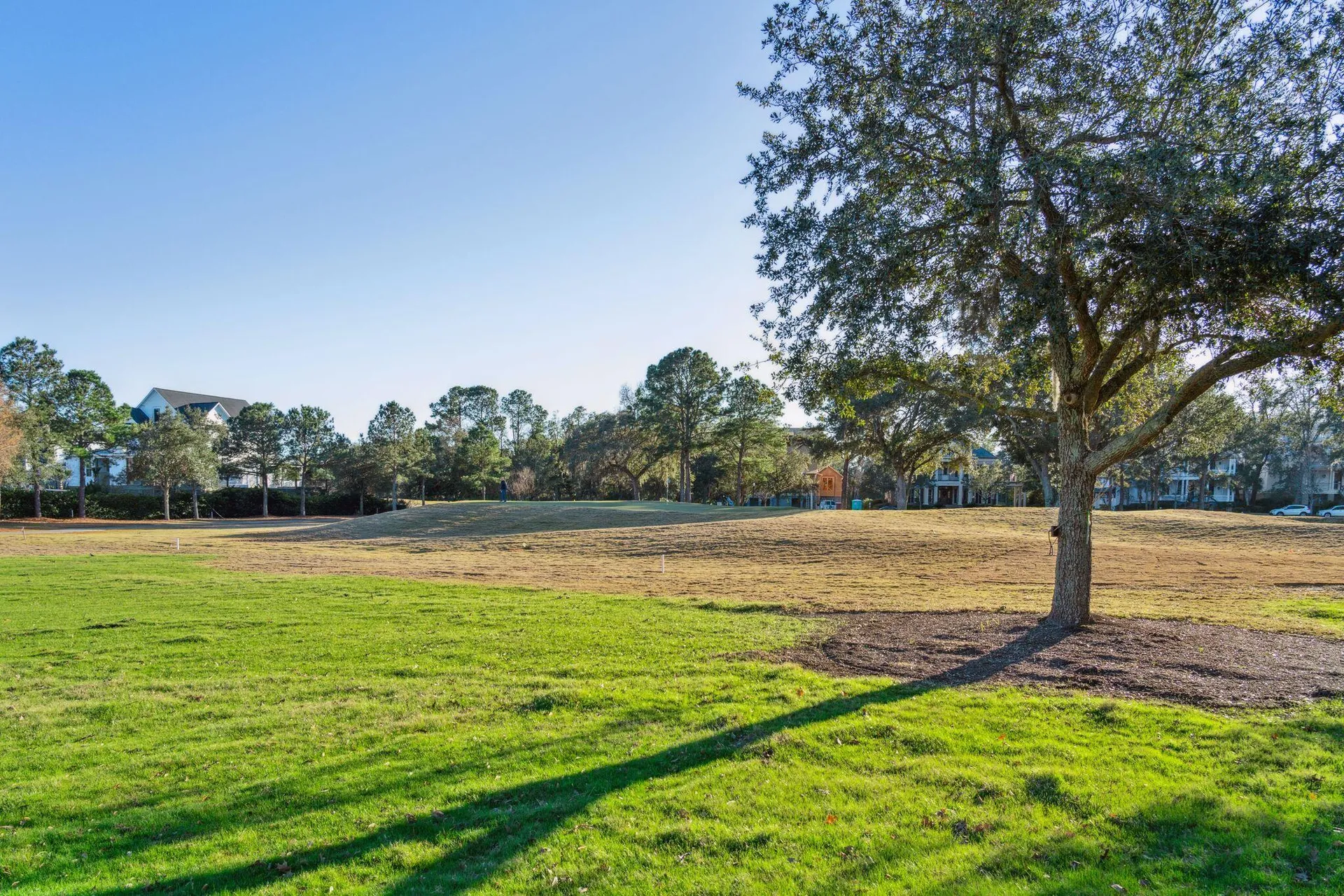 Property image 3 at 141 Ithecaw Creek Street, Charleston, SC 29492