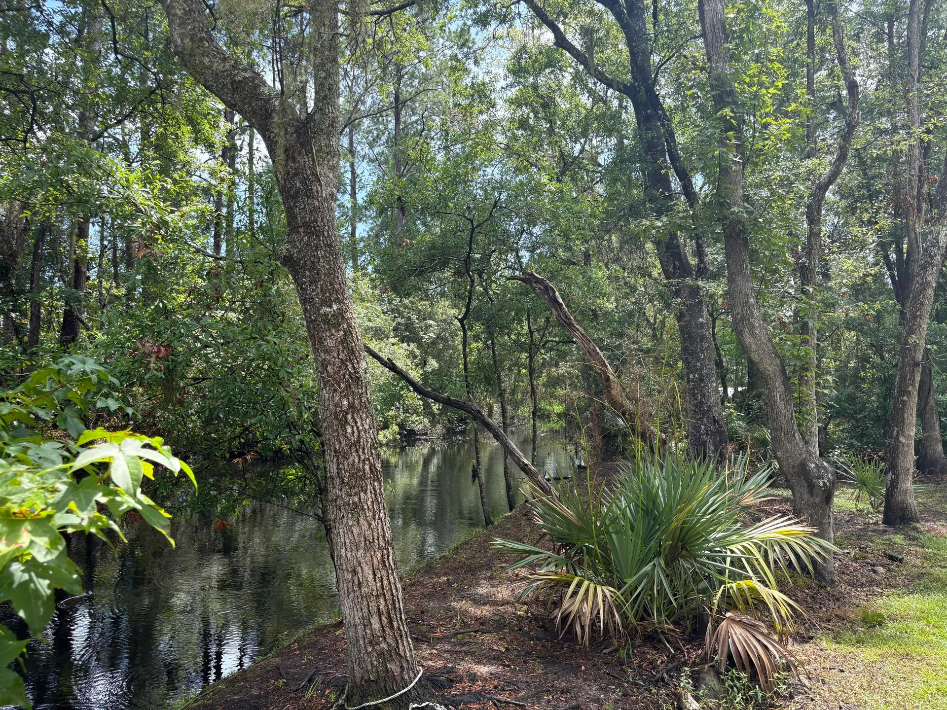 Property image 5 at 3469 Prices Bridge Lane, Walterboro, SC 29488