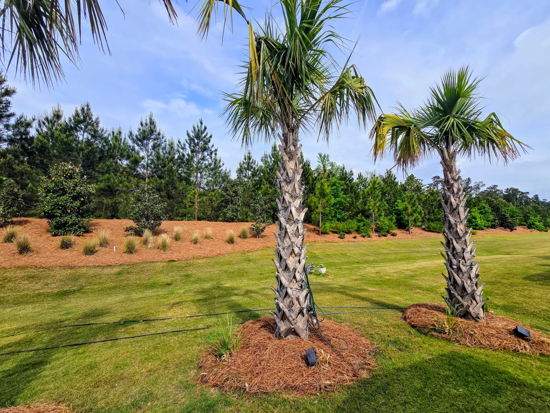 Property image 2 at 159 Garden Gate Way, Summerville, SC 29486
