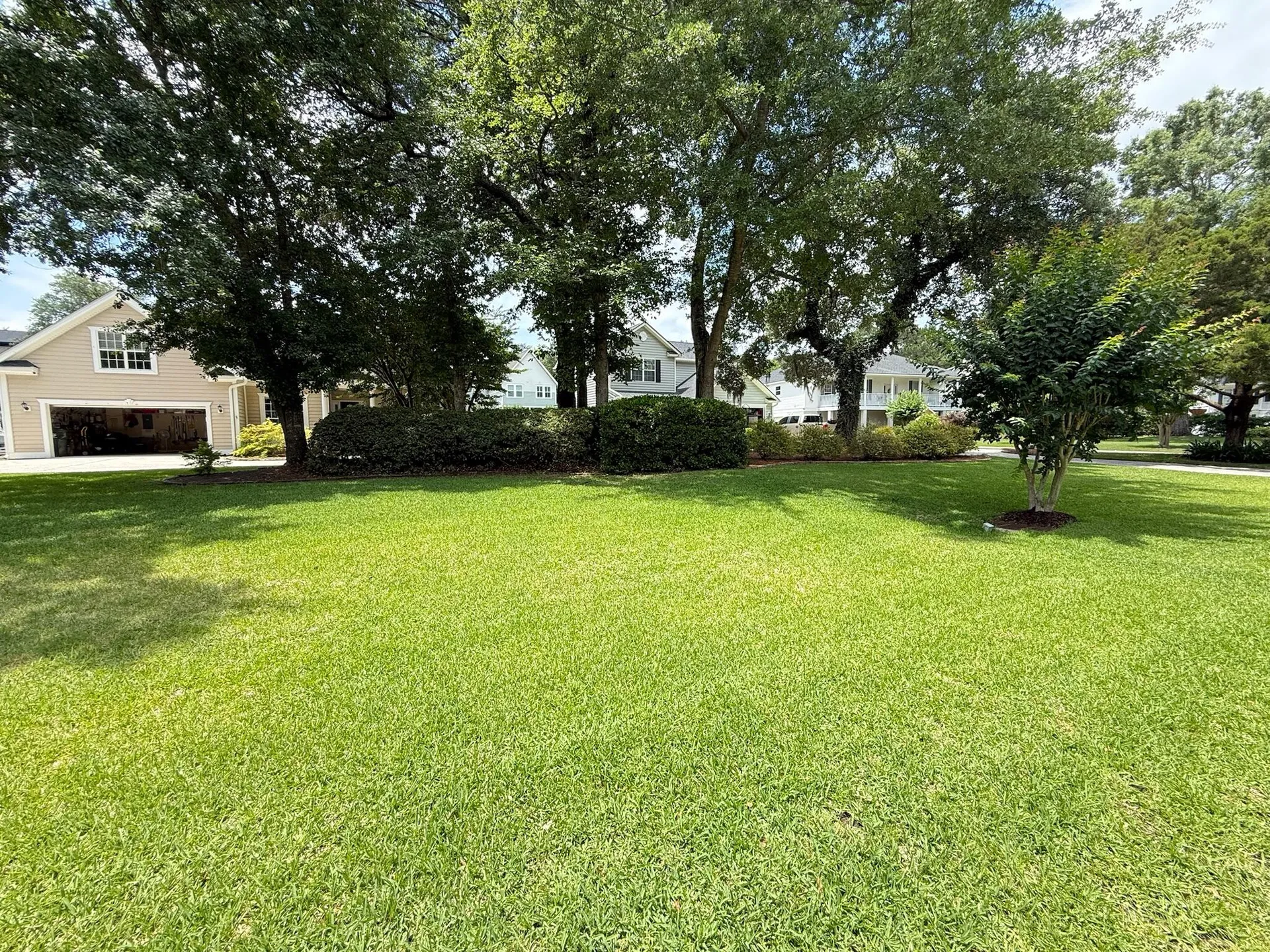 Property image 4 at 213 Ashmont Drive, Wando, SC 29492