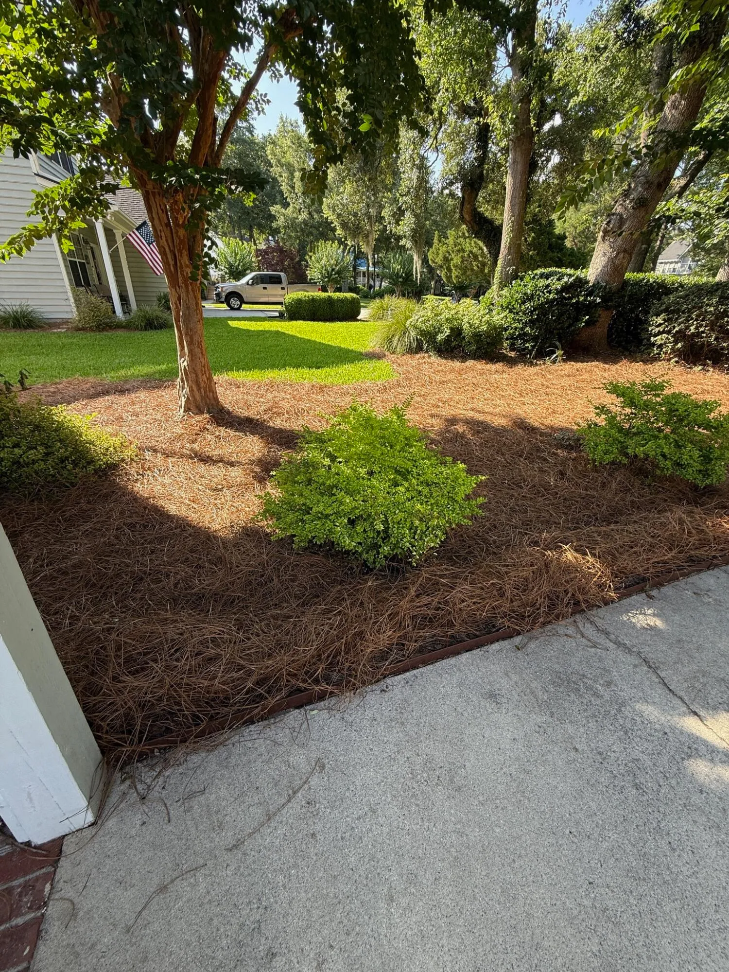Property image 5 at 213 Ashmont Drive, Wando, SC 29492