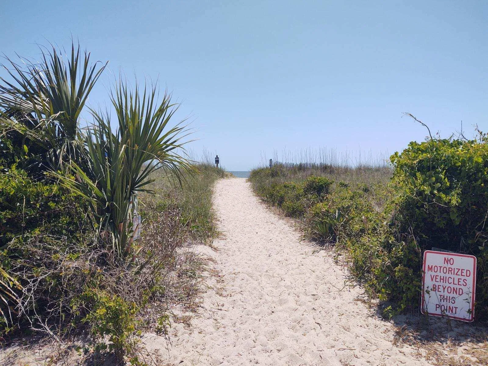 Property image 4 at 2501 Myrtle Street, Edisto Beach, SC 29438