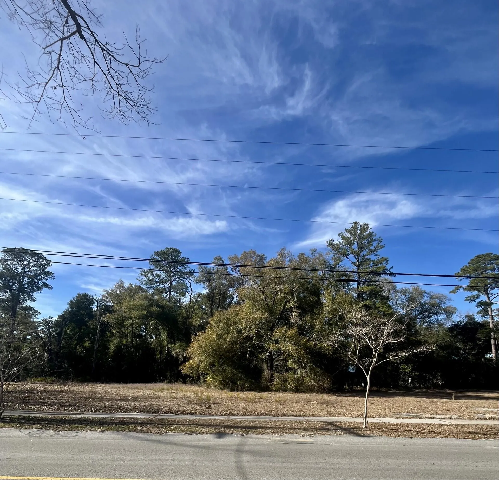 Forest Park, Walterboro Community