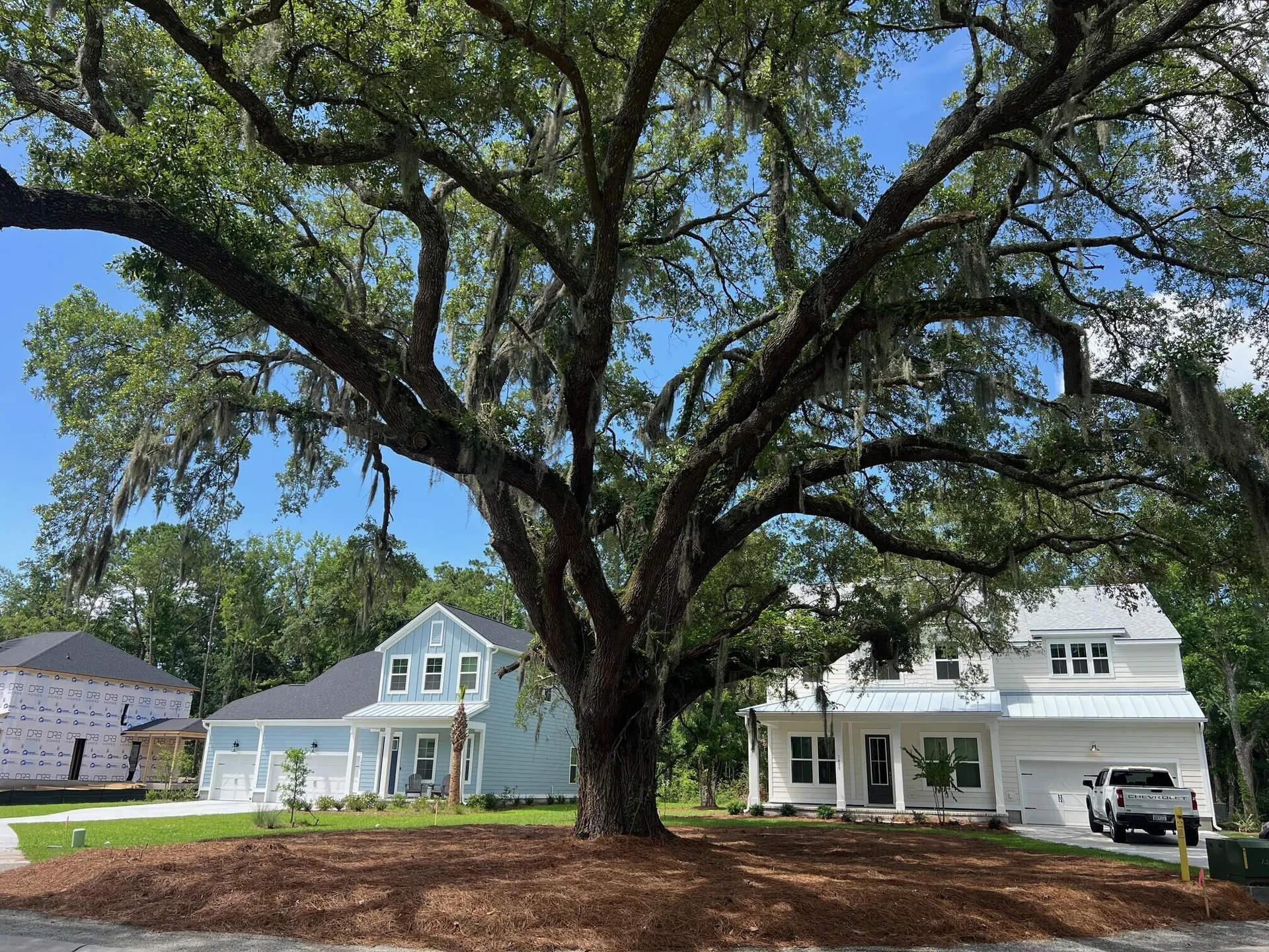 Property image 5 at 1427 Dahlia Road, Mount Pleasant, SC 29464