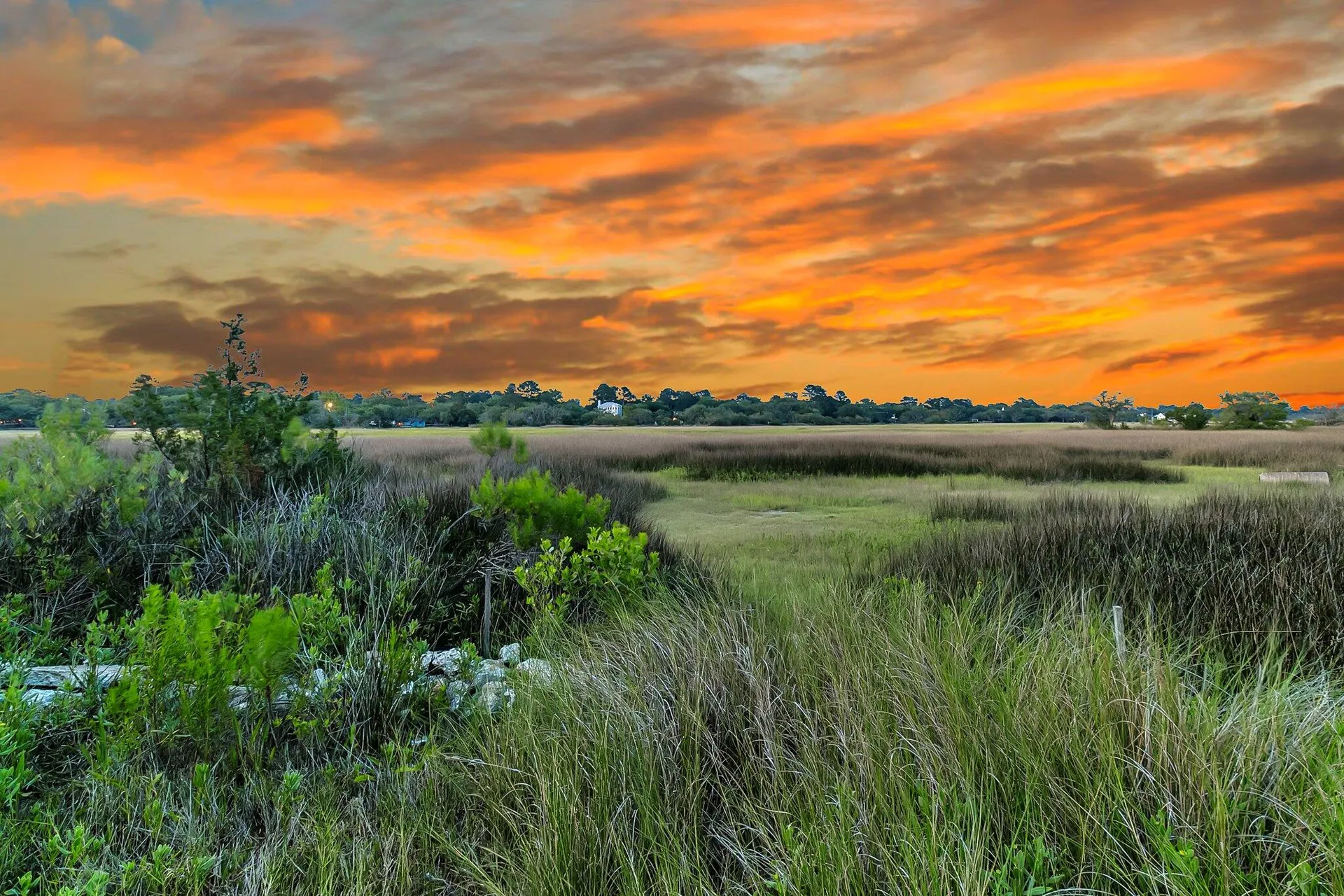 Property image 3 at 200 Wappoo Road, Charleston, SC 29407