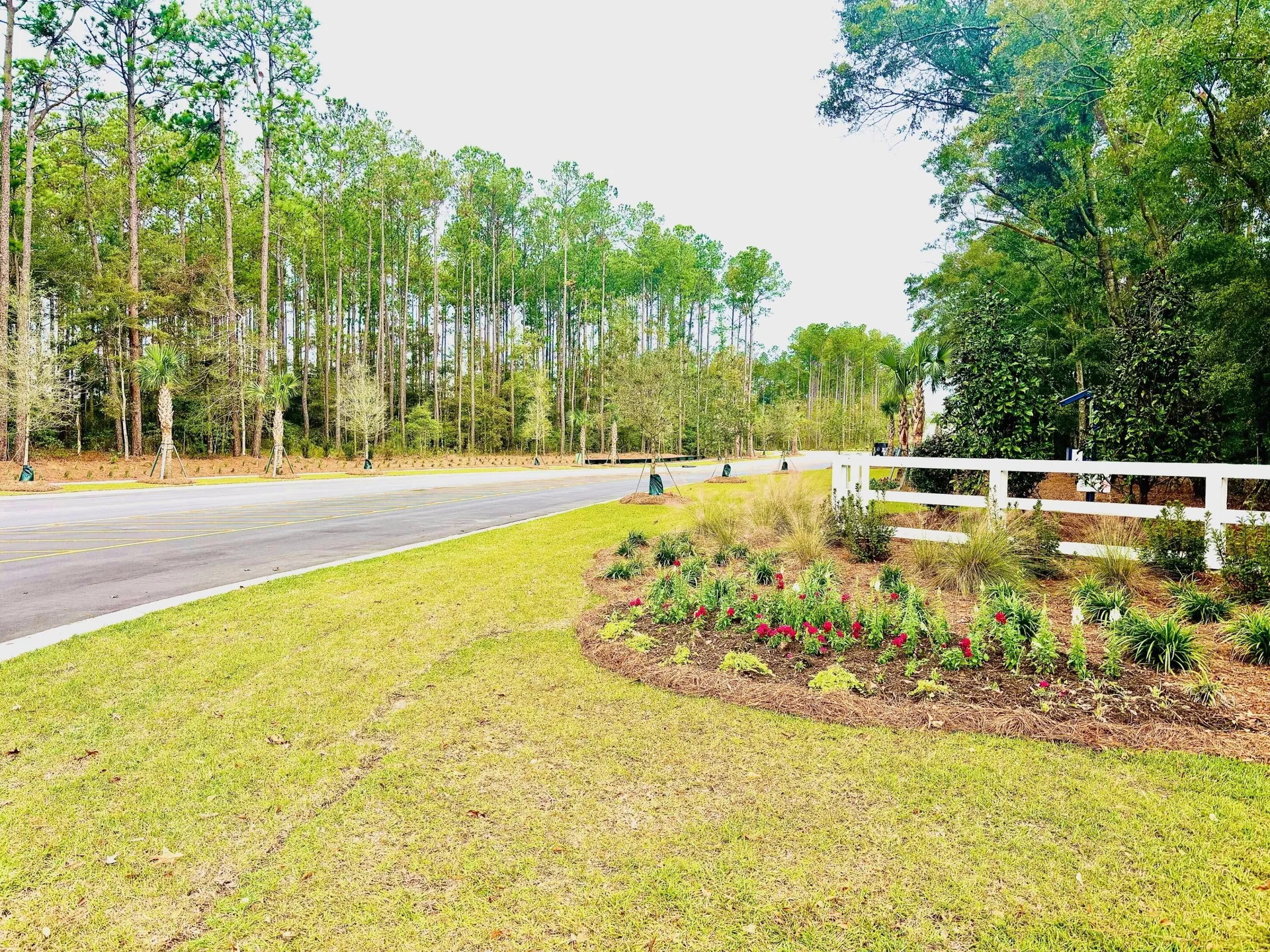 Property image 3 at 2215 Macallan Boulevard, Ravenel, SC 29470
