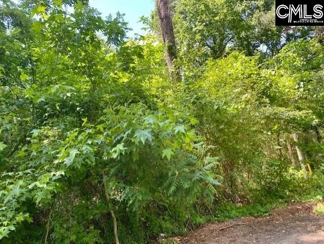 Property image 4 at Roosevelt Road, Columbia, SC 29180