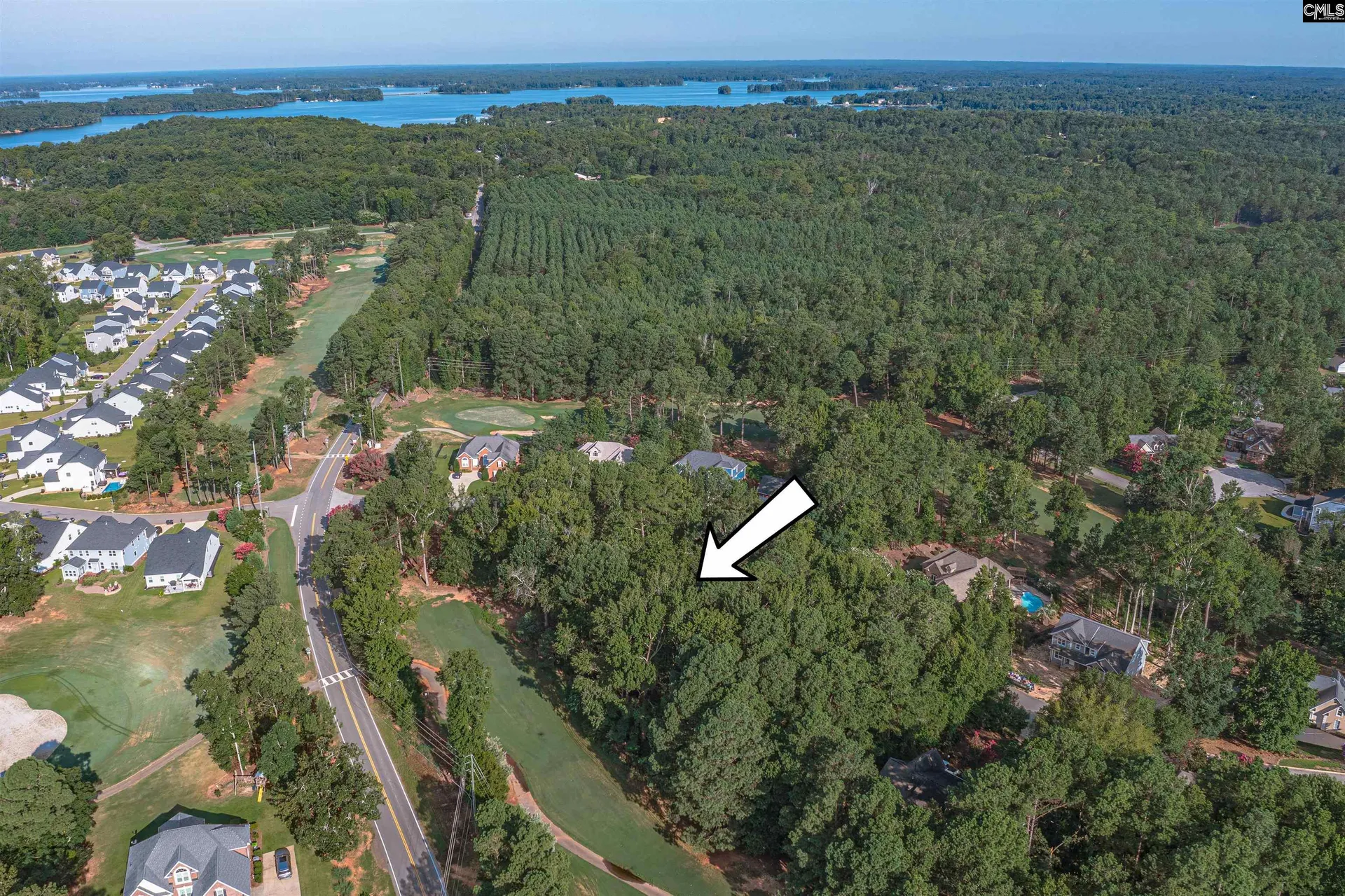 Property image 2 at 118 Lake Summit Drive, Chapin, SC 29036