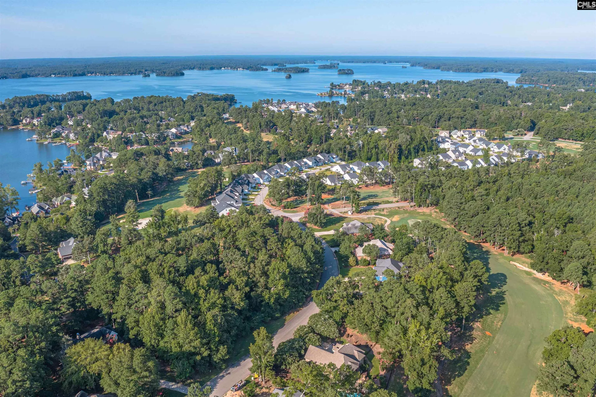 Property image 3 at 118 Lake Summit Drive, Chapin, SC 29036