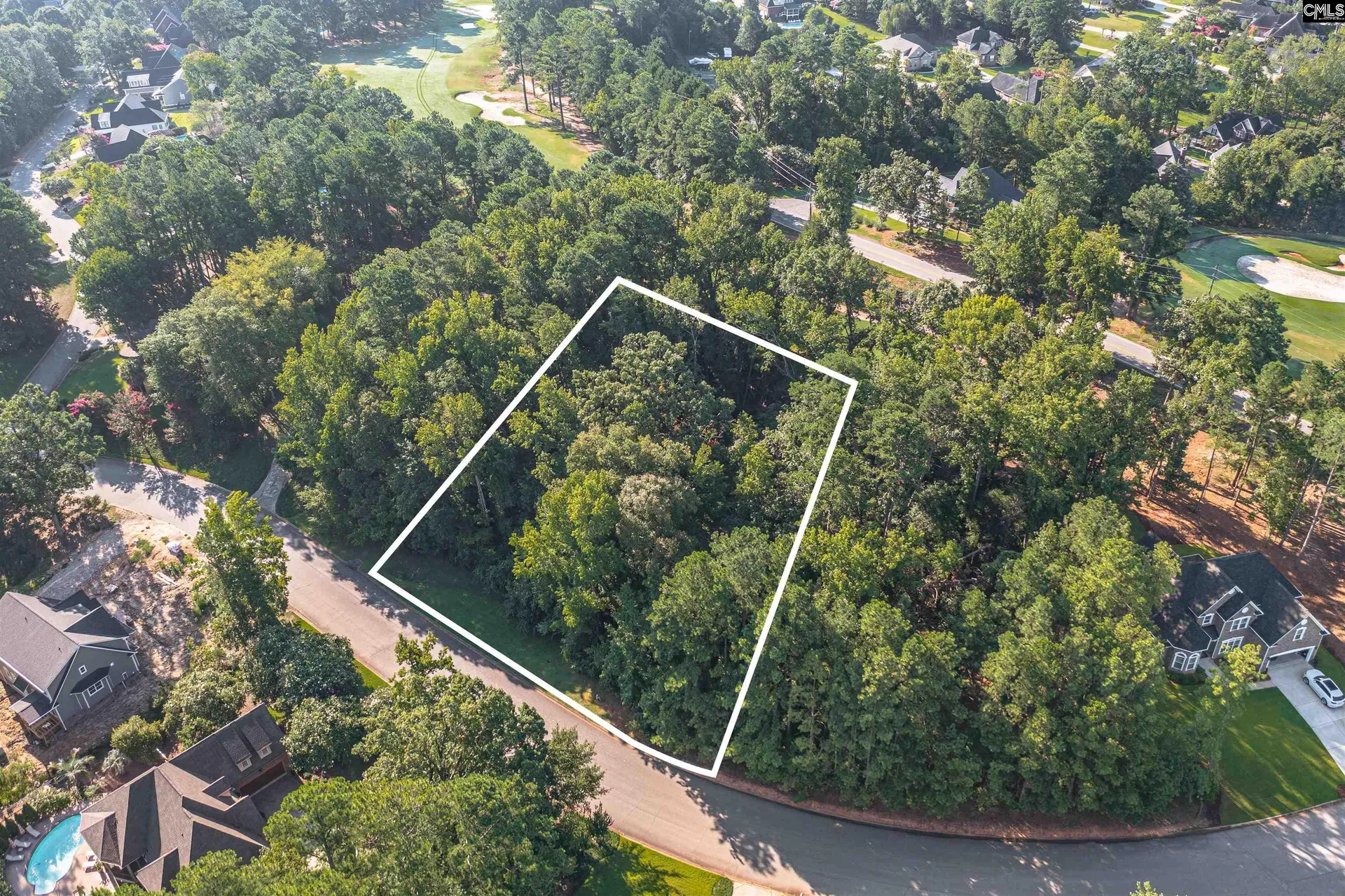 Property image 5 at 118 Lake Summit Drive, Chapin, SC 29036