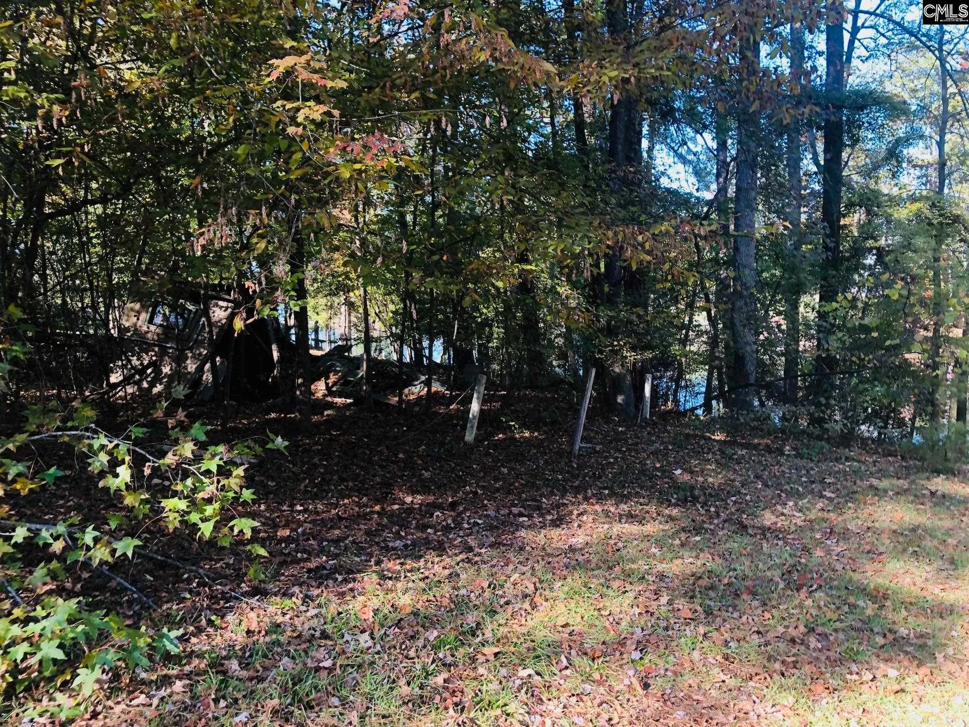 Property image 3 at 0 Lake Drive, Leesville, SC 29070