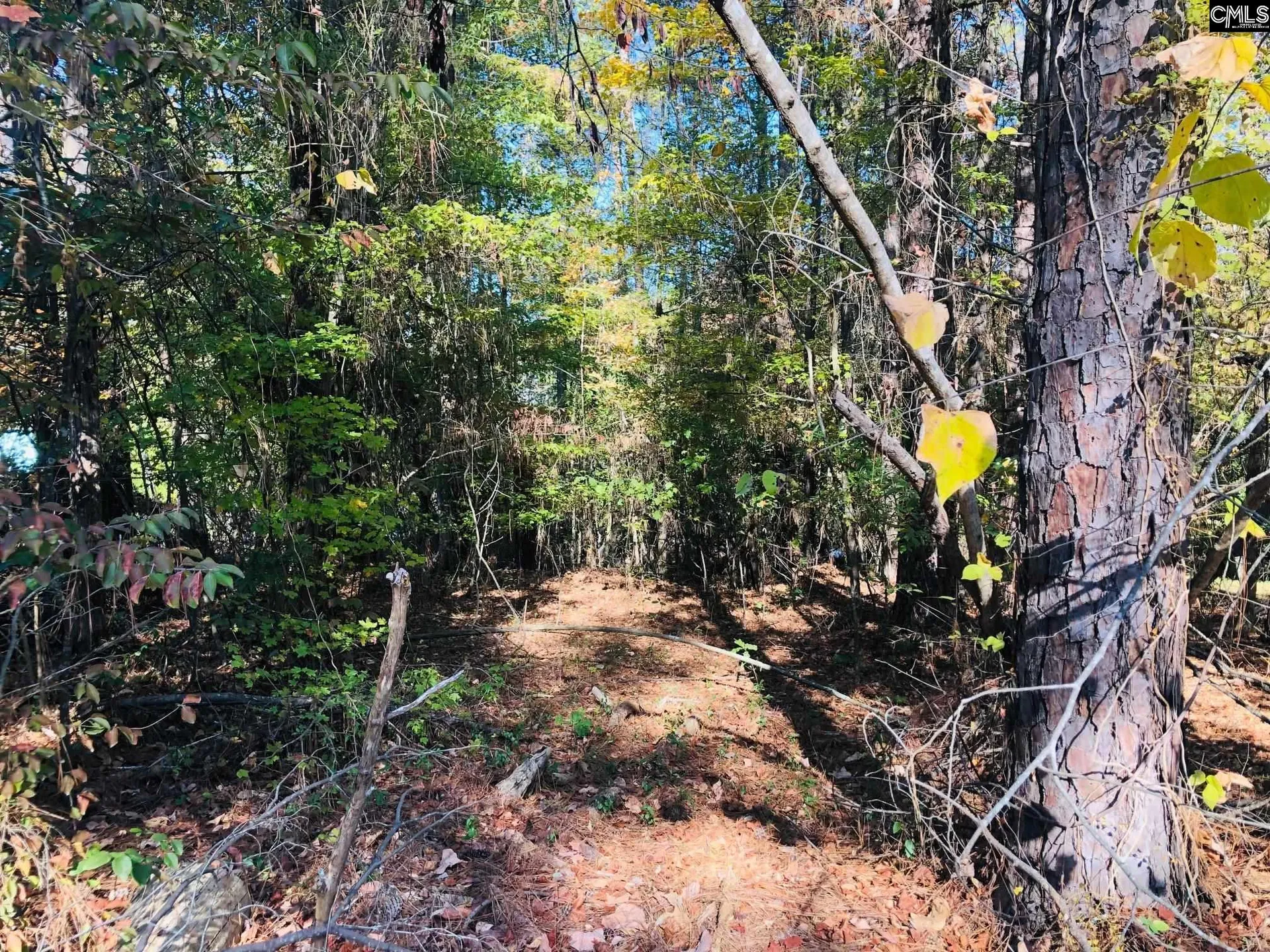 Property image 4 at 0 Lake Drive, Leesville, SC 29070