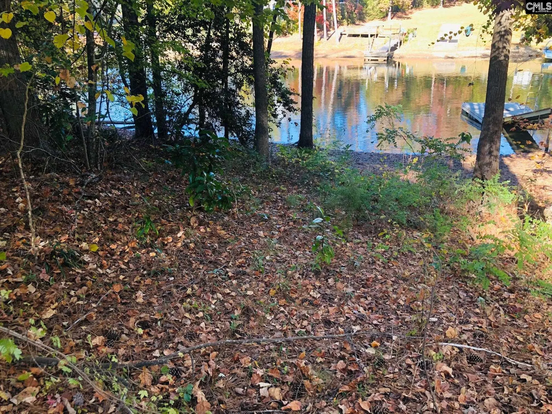Property image 5 at 0 Lake Drive, Leesville, SC 29070