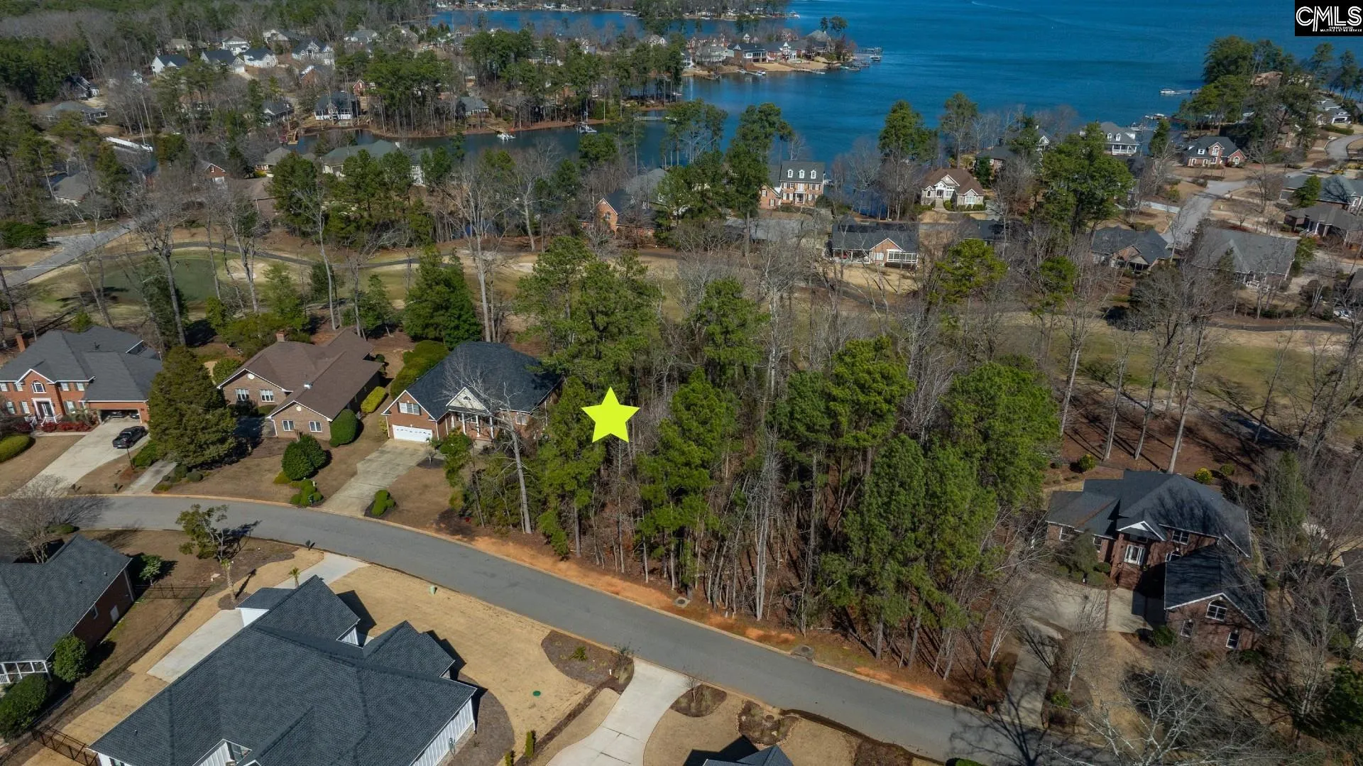 Property image 4 at 329 Oxenbridge Way, Chapin, SC 29036