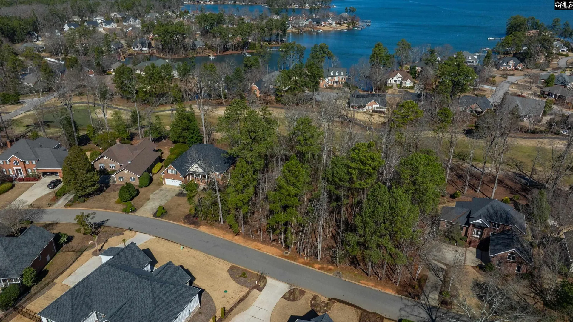 Property image 5 at 329 Oxenbridge Way, Chapin, SC 29036