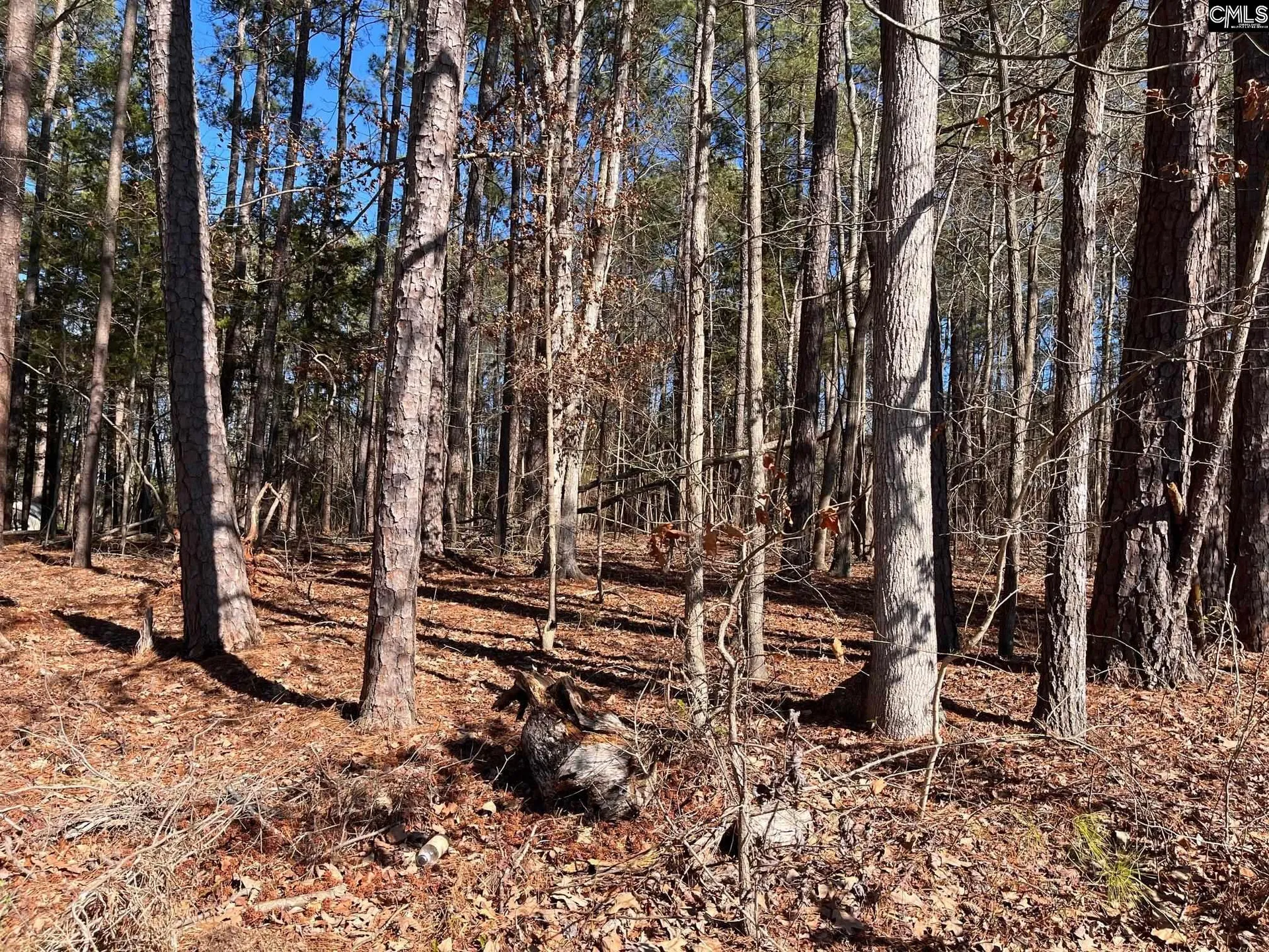 Property image 3 at 141 Aiken Street, Leesville, SC 29072