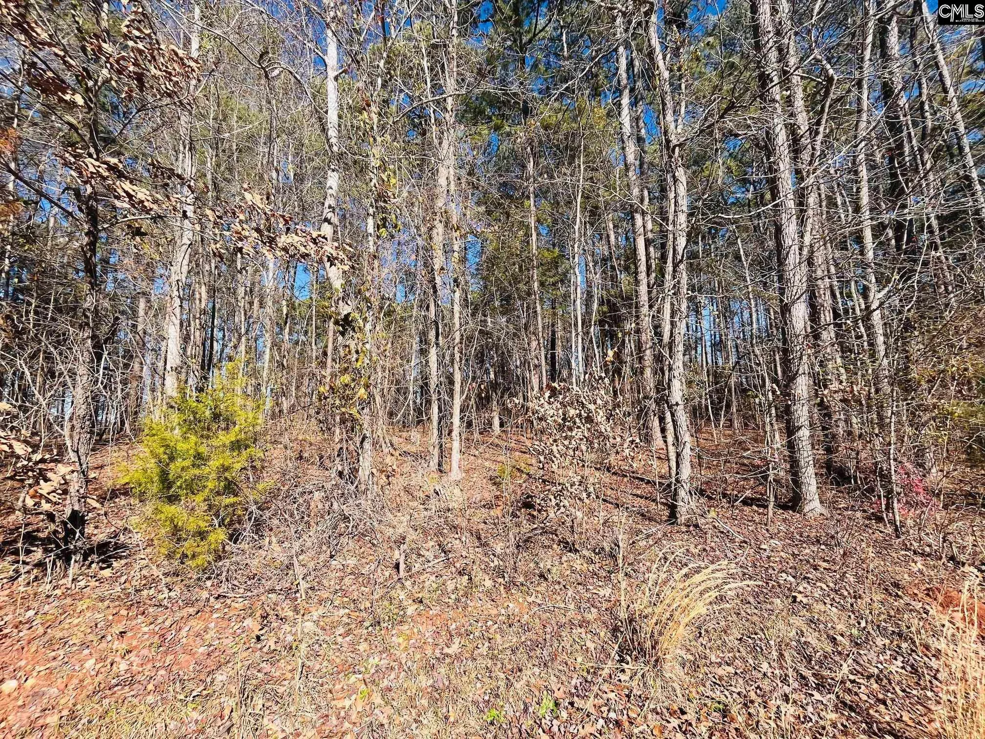 Property image 4 at 141 Aiken Street, Leesville, SC 29072