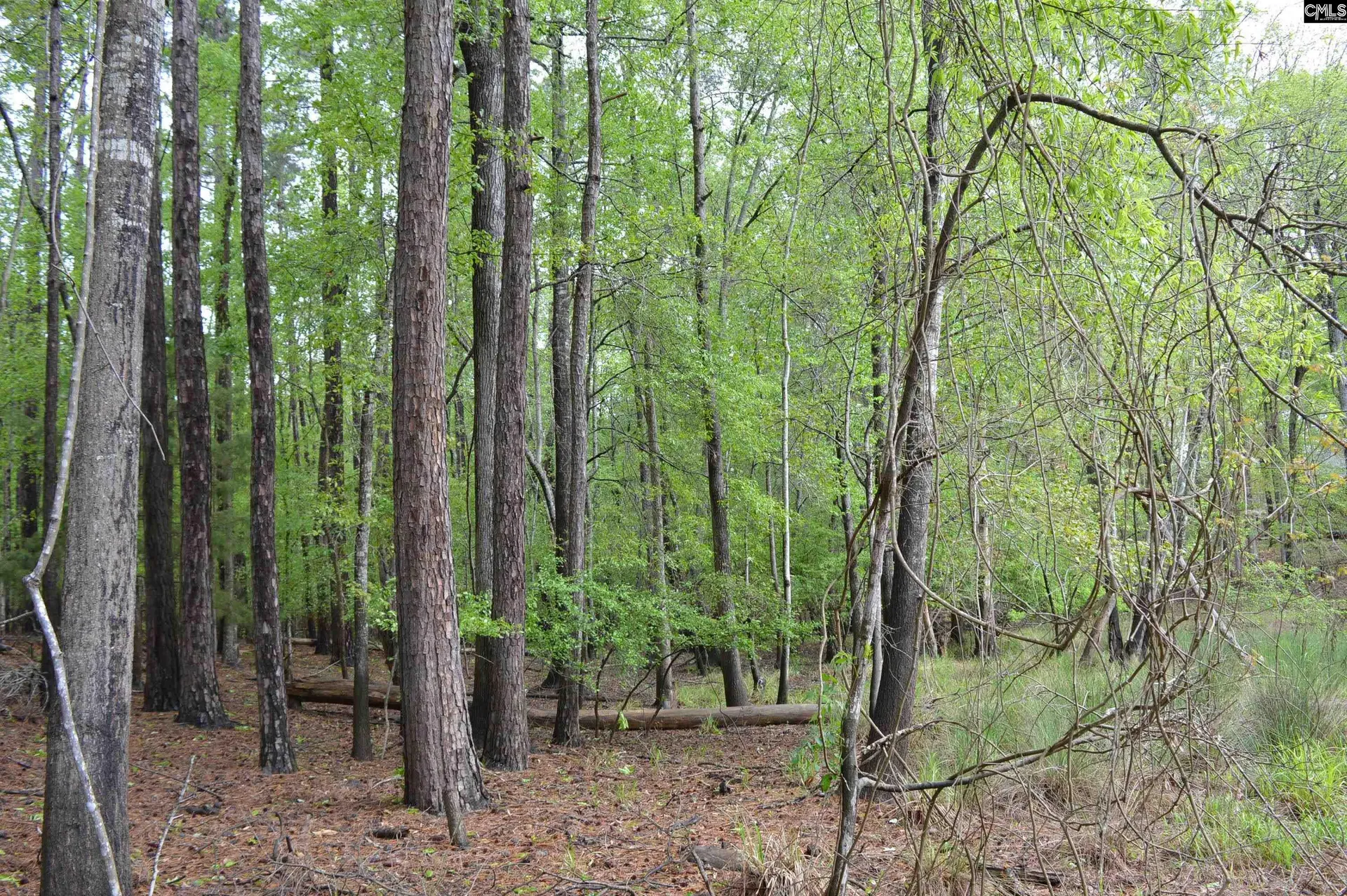 Property image 3 at 2098 Methodist Camp Road, Camden, SC 29020
