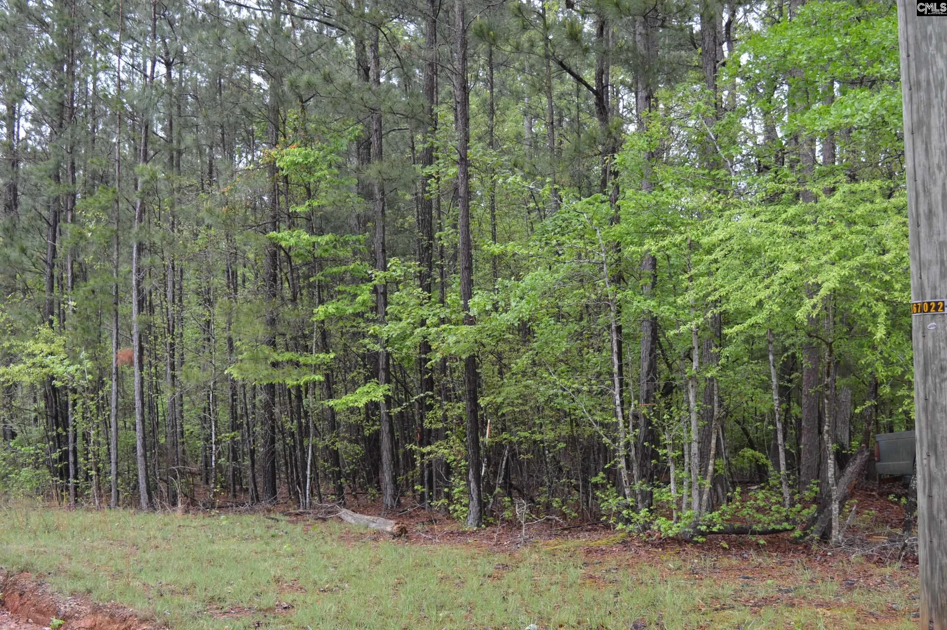 Property image 4 at 2098 Methodist Camp Road, Camden, SC 29020