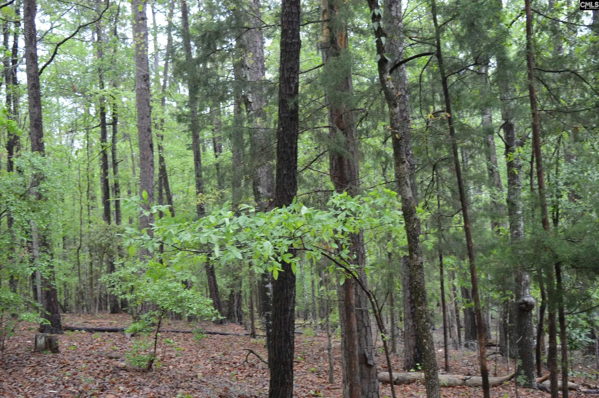 Property image 5 at 2098 Methodist Camp Road, Camden, SC 29020