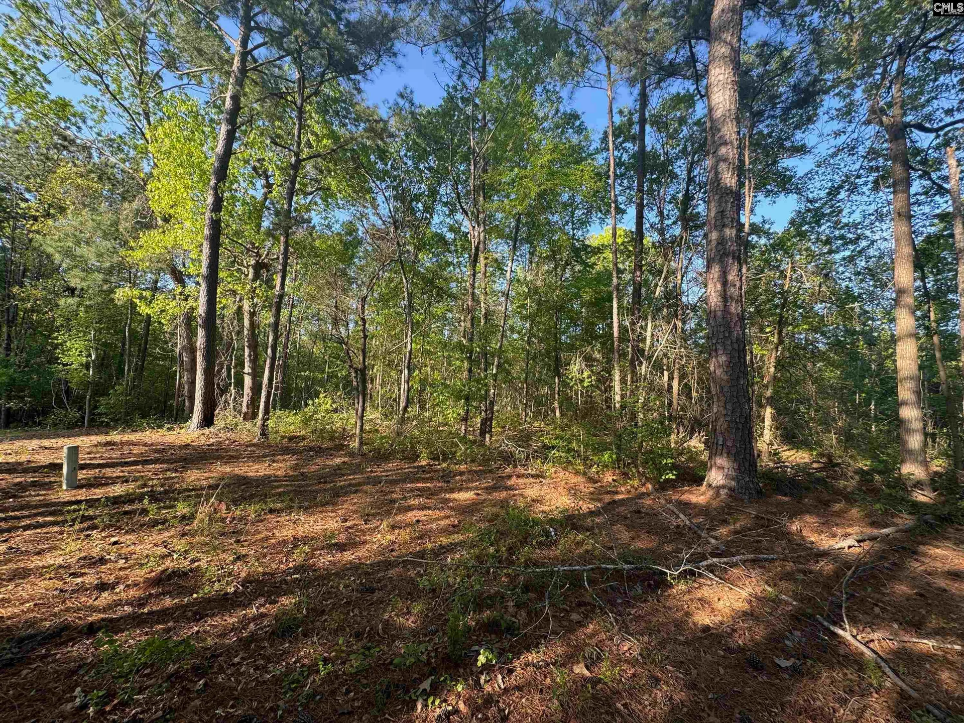 500 Woodcrest Drive