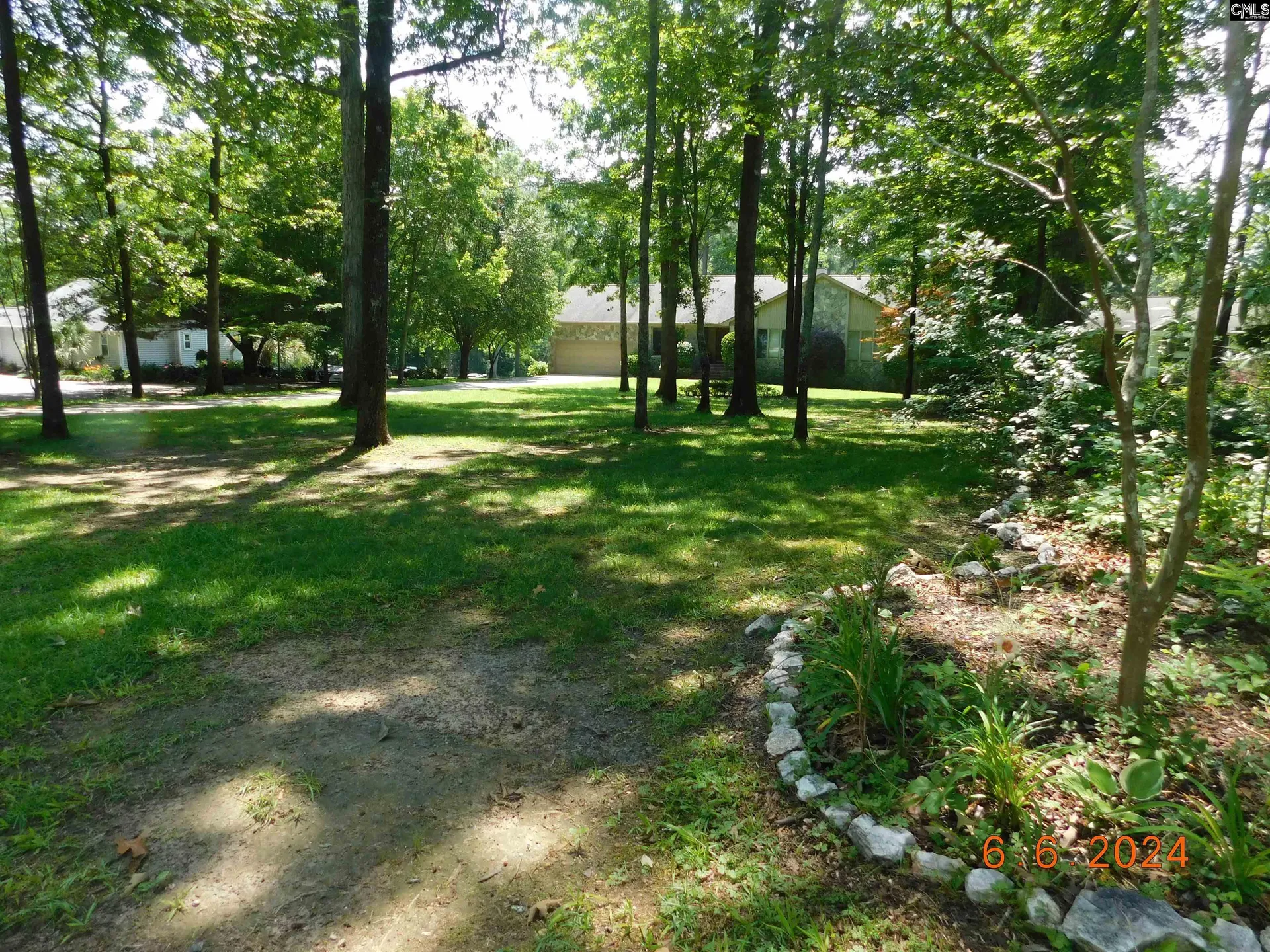 Property image 4 at 125 Milmont Shores Road, Chapin, SC 29036
